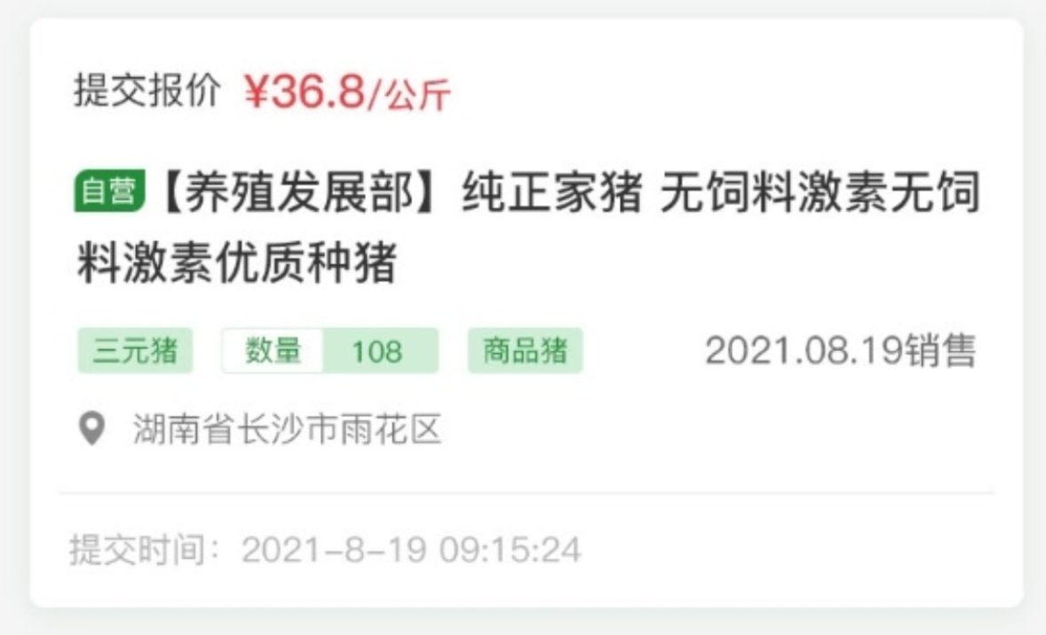 云邁科技生豬競價系統：開啟生豬交易新時代?